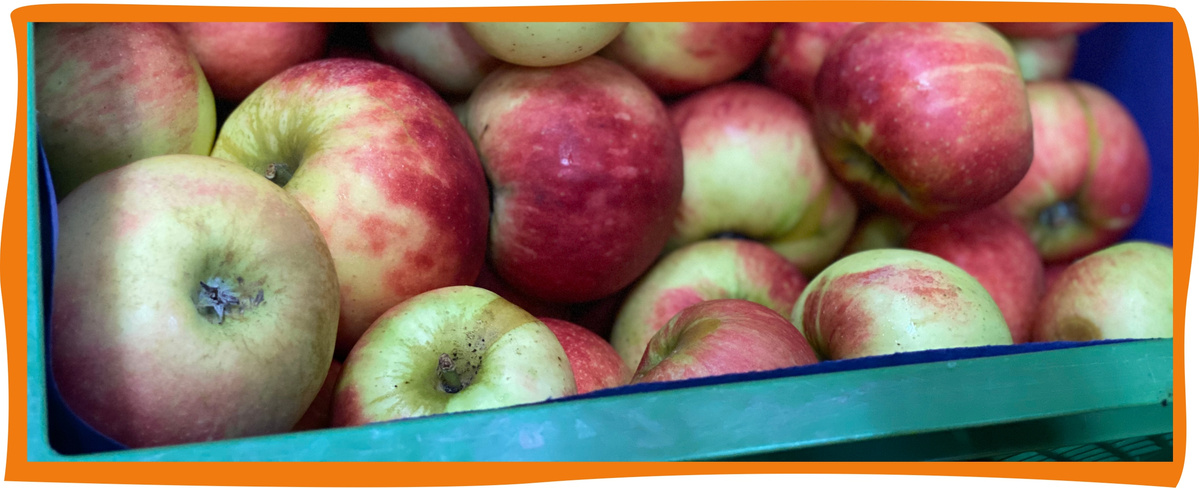 Kundenbrief als PDF öffnen