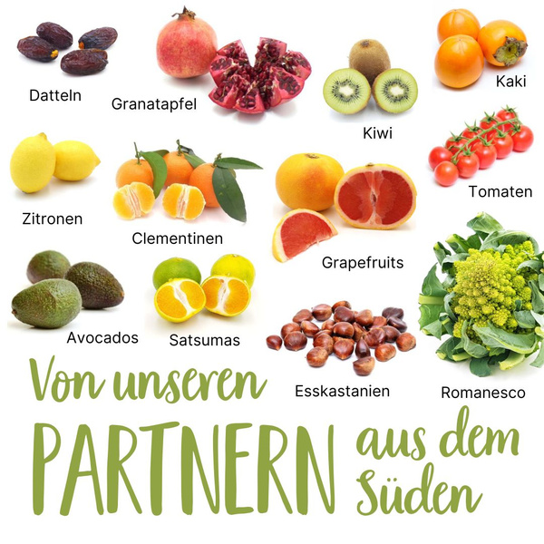 Saisonkalender November Süden