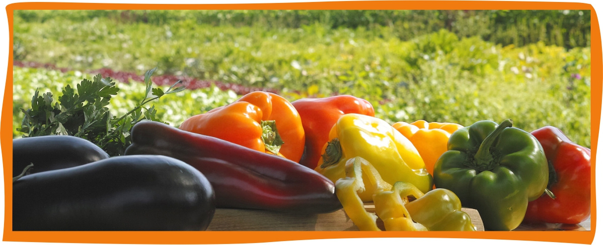 Kundenbrief KW 37/25