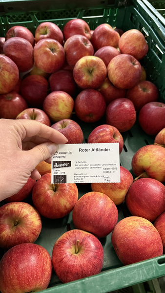 Roter Altländer