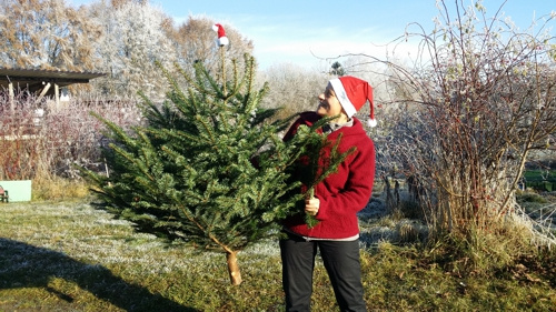 TUT GUT! im Dezember - Nachhaltige Weihnachten