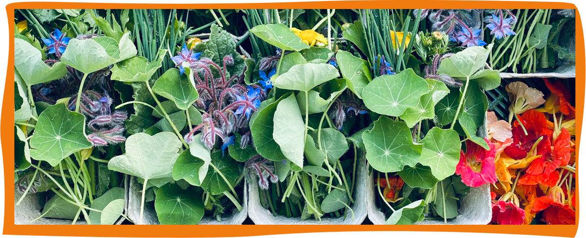 Kundenbrief KW 42/25