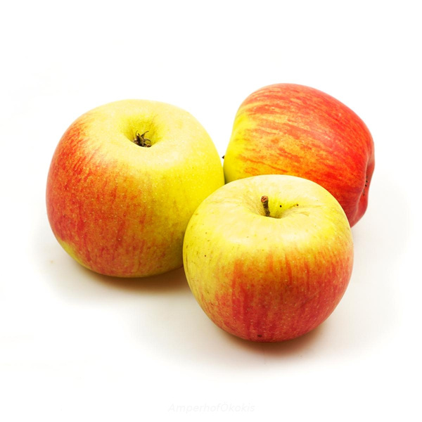 Produktfoto zu Äpfel Delbar Estival