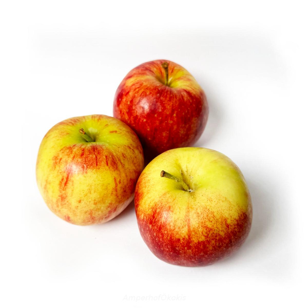 Produktfoto zu Apfel Roter Altländer