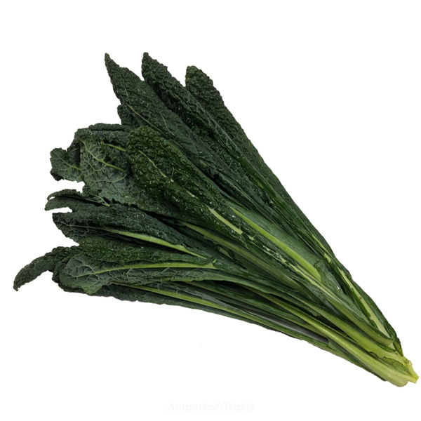 Produktfoto zu Schwarzkohl