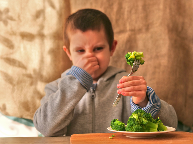 Grüne Helden auf dem Teller: Wenn Brokkoli kein Drama mehr ist