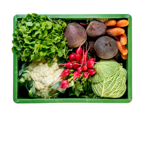 Regionalkiste: Gemüse, Salat, Kräuter und Äpfel aus der Region. Im Sommer gibt es Beeren.