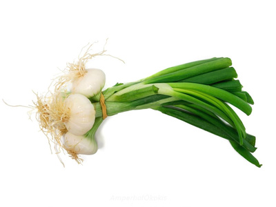 Produktfoto zu Frische Zwiebel mit grün