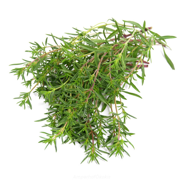 Produktfoto zu Bohnenkraut Bund