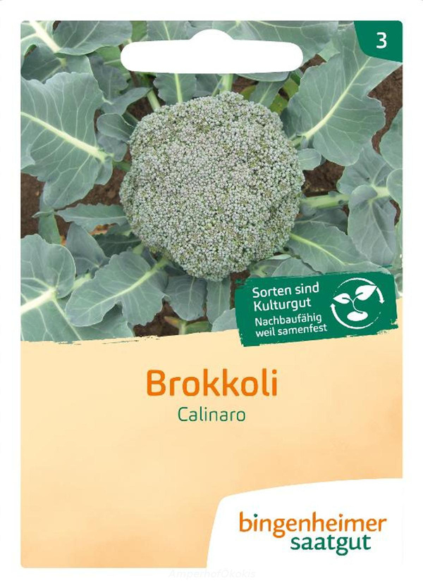 Produktfoto zu Saat: Brokkoli Calinaro