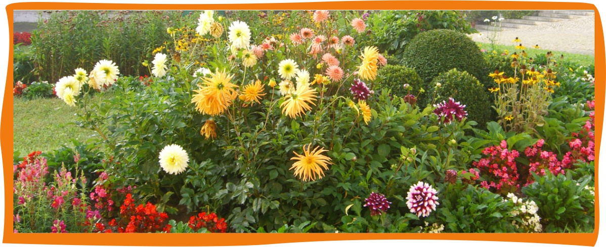 Kundenbrief als PDF öffnen