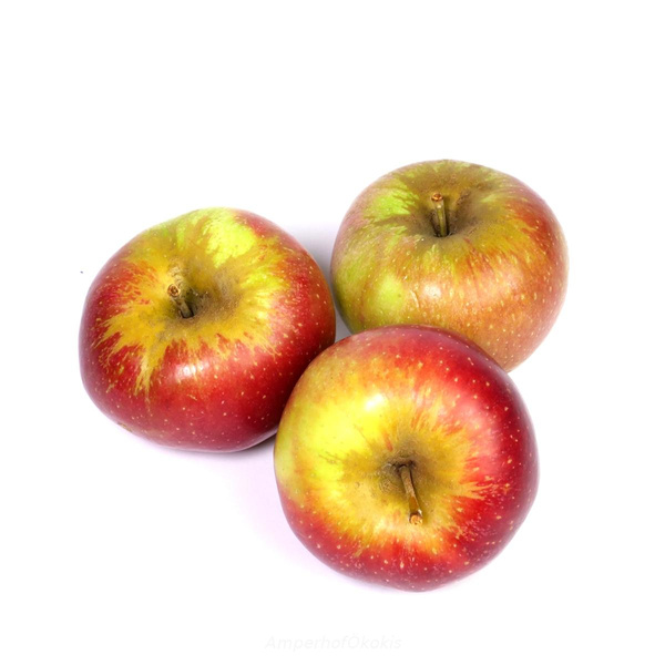 Produktfoto zu Apfel Wurtwinning _ Bio Stars