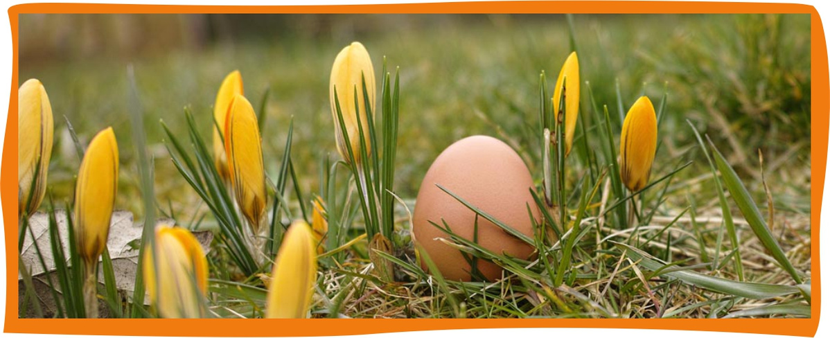 Kundenbrief als PDF öffnen