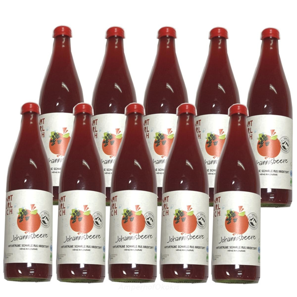 product photo for Apfel Johannisbeer Schorle 10x0,5 l