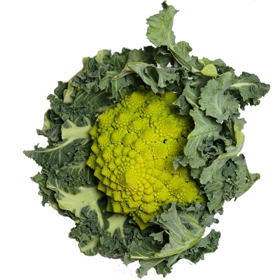 Produktfoto zu Romanesco