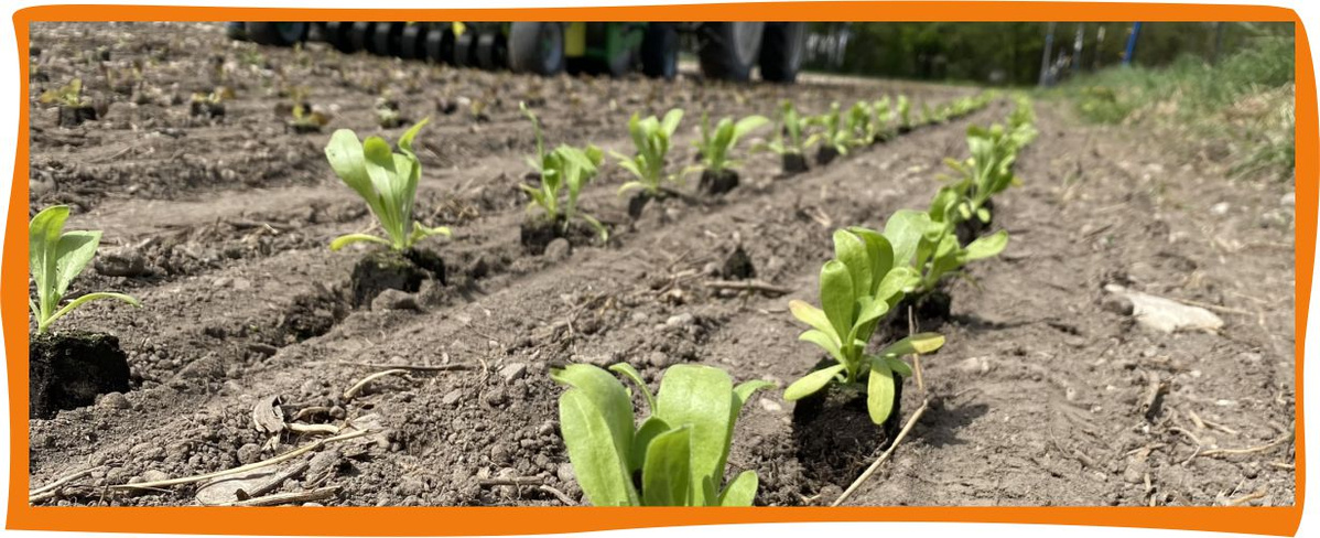 Kundenbrief KW 11/26