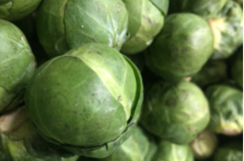 Rosenkohl