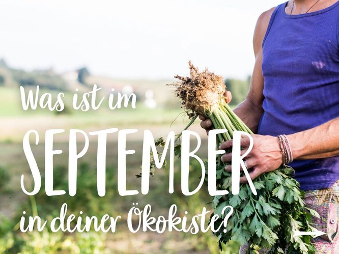 Saisonkalender September