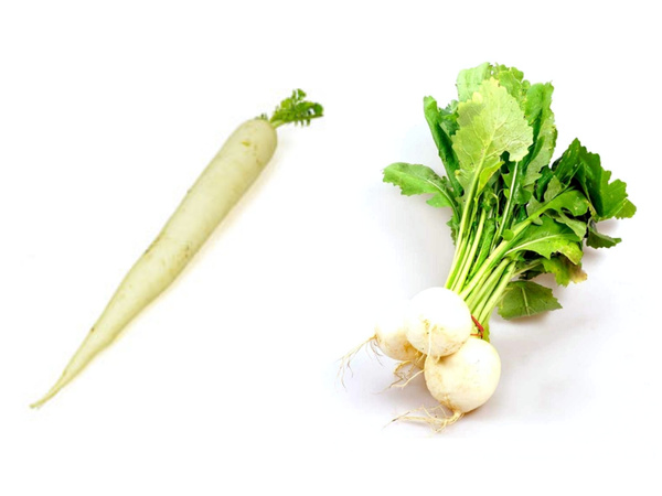 KI generiert: Ein weißer Rettich neben einem Bund aus drei weißen Rüben.