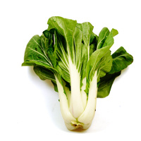 KI generiert: Ein frischer Pak Choi mit grünen Blättern auf weißem Hintergrund.