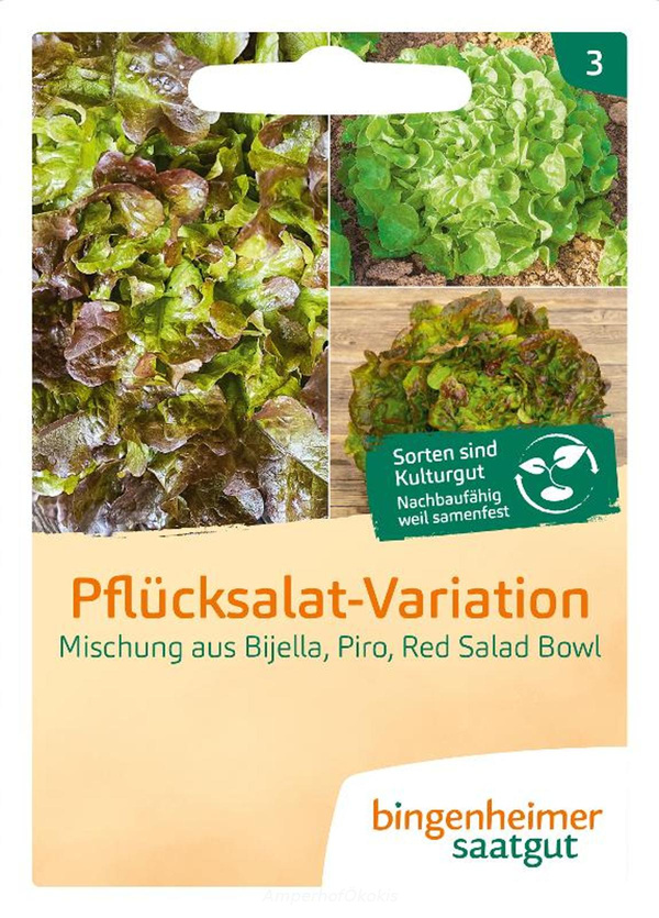 Produktfoto zu Saat: Pflücksalat Mischung