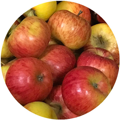 Produktfoto zu Äpfel 10 kg Kiste wechselnde Sorte