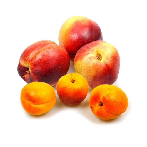 Nektarinen und Aprikosen