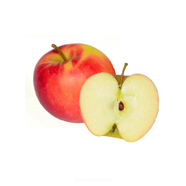 Produktfoto zu Äpfel Elstar 5 kg