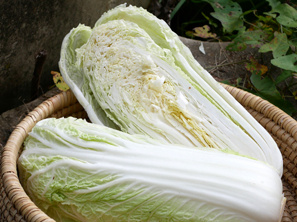 Chinakohl