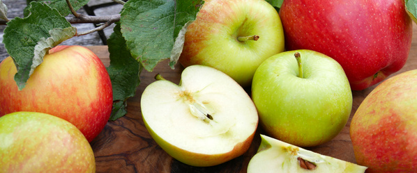 Neue Ernte: Äpfel vom Bodensee