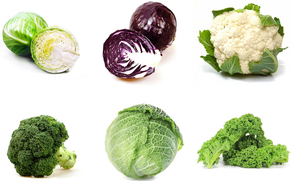 KI generiert: Verschiedene Kohlsorten: Rosenkohl, Rotkohl, Blumenkohl, Brokkoli, Weißkohl, Grünkohl.