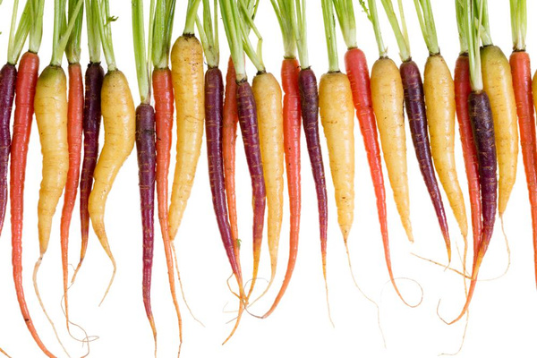 Eine Preissteigerung von lediglich 2% bei Bio-Möhren im Fachhandel steht einer Preissteigerung von 60% bei konventionellen Möhren im Discounter gegenüber.