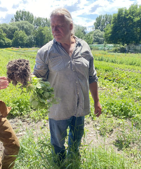 Vor allem die langfristige Umstellung auf ökologisch erzeugte Waren sorgt für eine gerechtere Zukunft, bei der kostspielige Umweltschäden gar nicht erst entstehen.