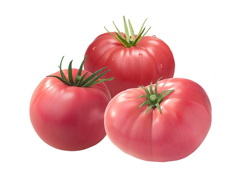 Pinktomaten