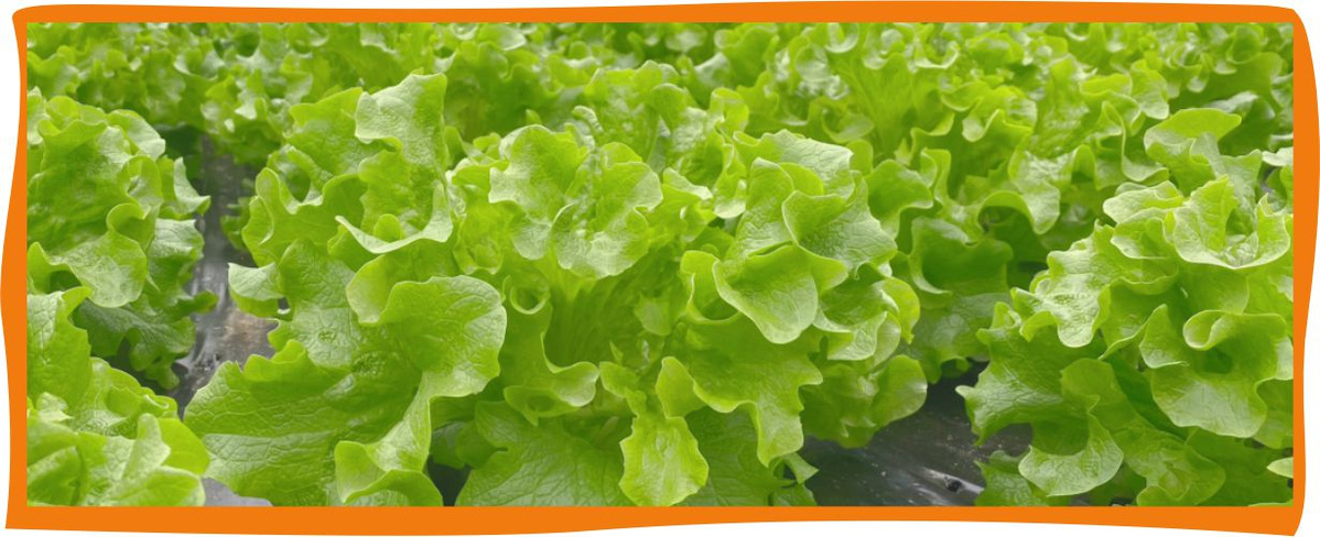 Kundenbrief KW 18/26