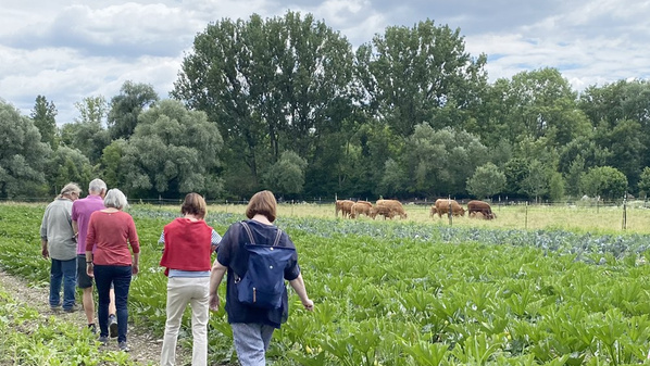 Bio-Landwirtschaft am Amperhof