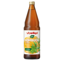 Kombucha Original