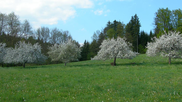 Traditionsbrauerei aus Mühldorf.
