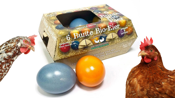 KI generiert: Eine Packung mit bunten Bio-Eiern und zwei Hühnern. Text: "Bunte Bio-Eier", "Die Biohennen".