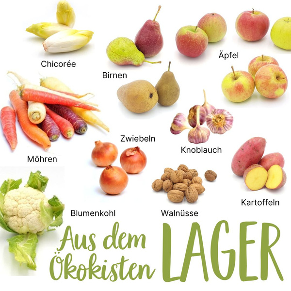 Saisonkalender November Lagerware