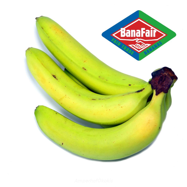 Produktfoto zu Grüne Bananen