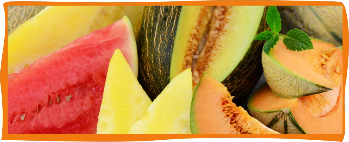 Kundenbrief KW 31/25