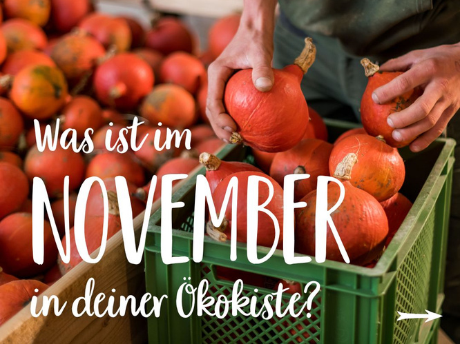 Saisonkalender November