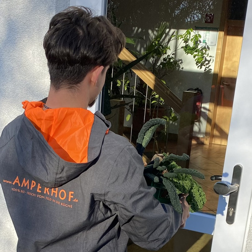 Bio-Lebensmittel liefern lassen