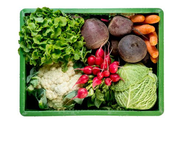 Regionalkiste: Gemüse, Salat, Kräuter und Äpfel aus der Region. Im Sommer gibt es Beeren.