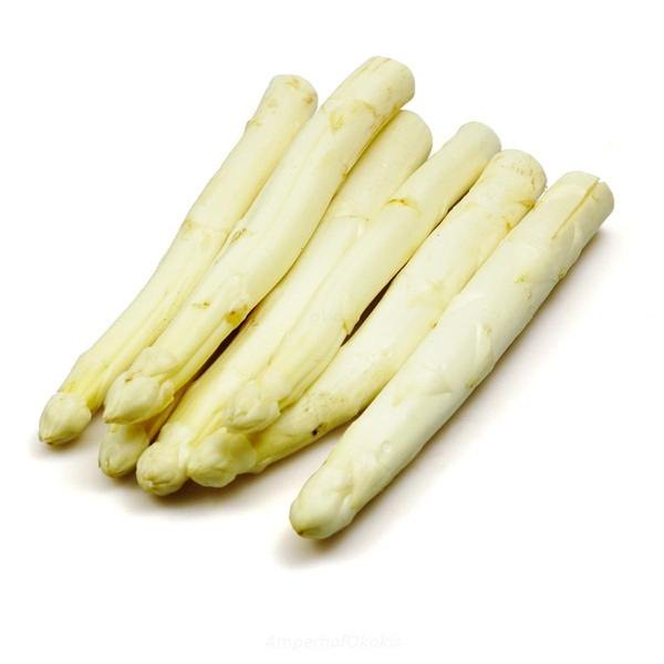 Produktfoto zu Spargel weiß, violett 500g 16+