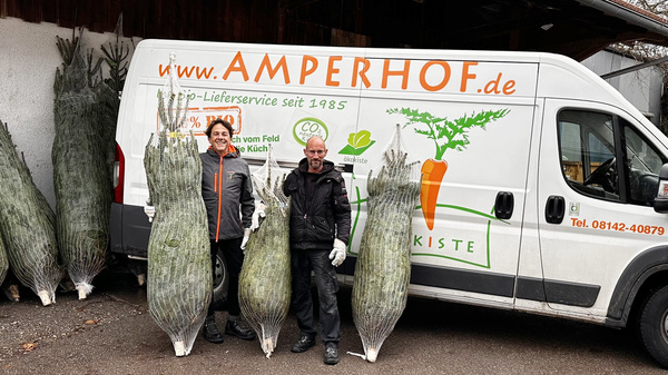 Premium-Weihnachtsbäume von Gut Mergenthau