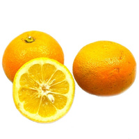 Bitterorange