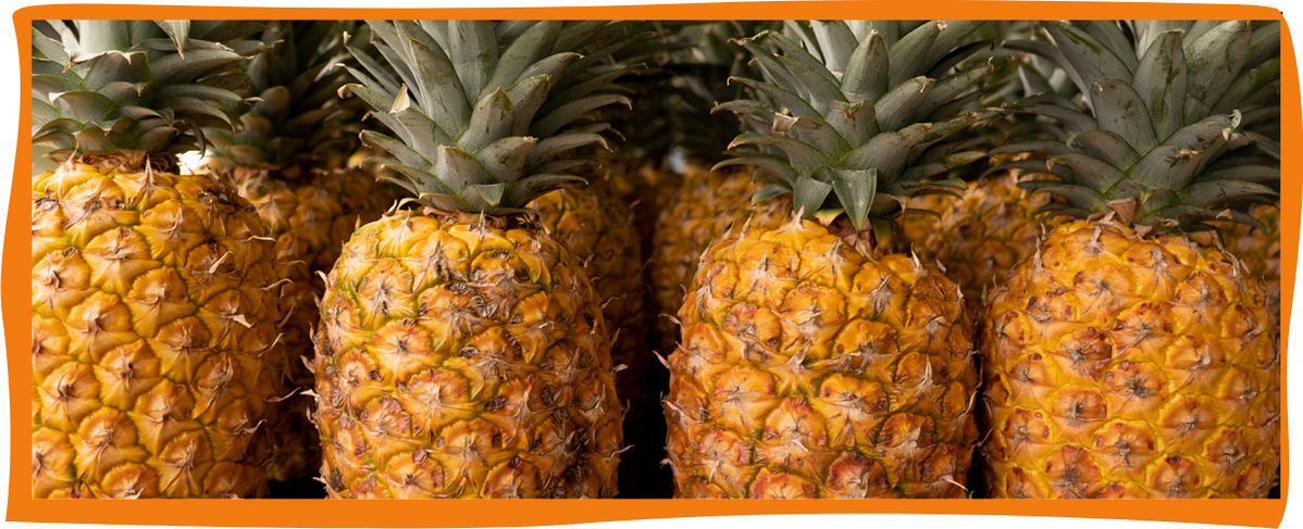 KI generiert: Mehrere reife Ananas mit grünen Blättern in Nahaufnahme.