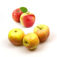 KI generiert: Fünf Äpfel auf weißem Hintergrund, oben zwei rötliche, unten drei gelb-rötliche.